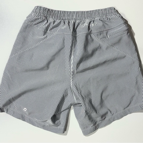 Birddogs Shorts - Blue and White Stripes Flying Wasps - Picture 2 of 7